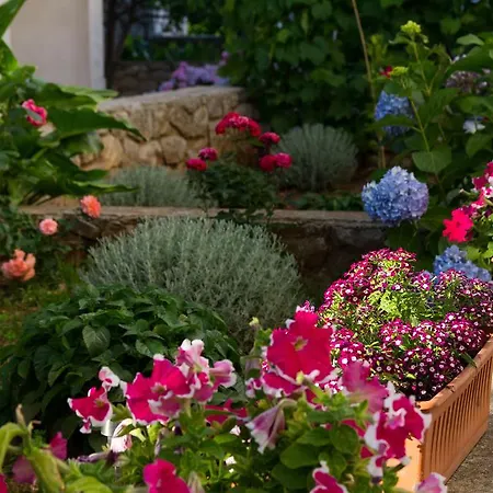Nikolina Apartman Mali Lošinj