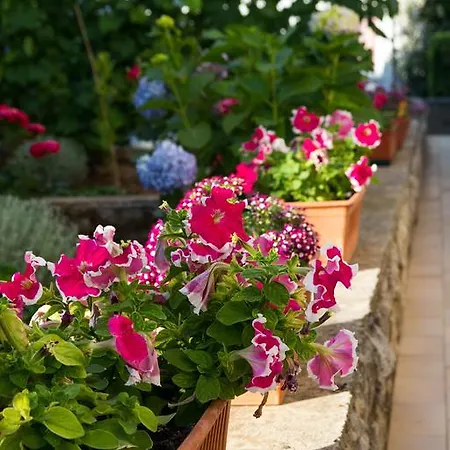 Apartment Nikolina *