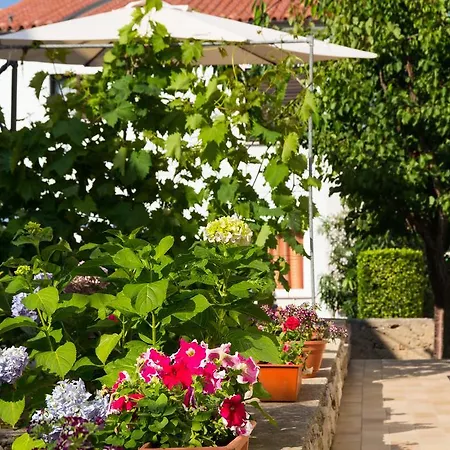Nikolina Apartman Mali Lošinj