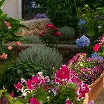 Nikolina Apartman Mali Lošinj