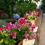 Apartman Nikolina *